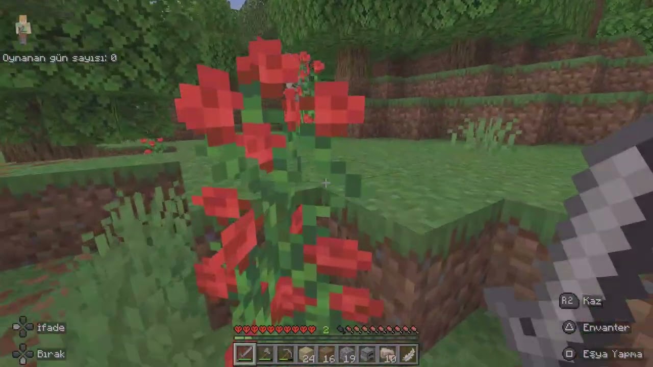 Minecraft videosu 1