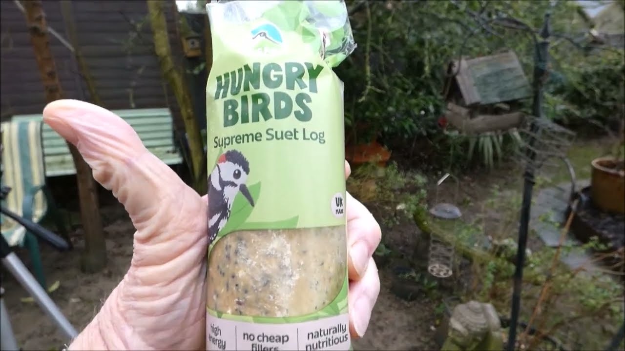 MOTION ACTIVATED CAMERA TRYING OUT THIS HUNGRY BIRDS SUPREME SUET LOG#HUNGRY#BIRD