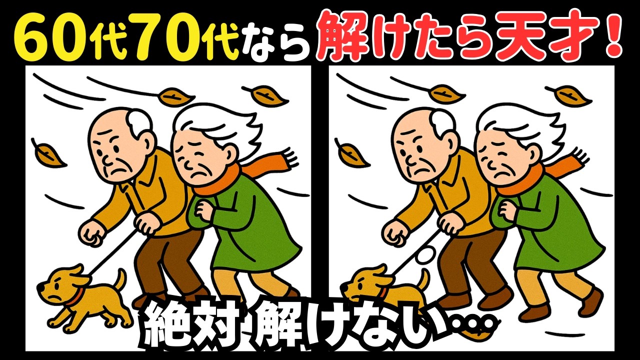 【間違い探し】60代70代80代のボケ防止に役立つ！集中力が自然と身につく＊今日は春一番名づけの日 #320
