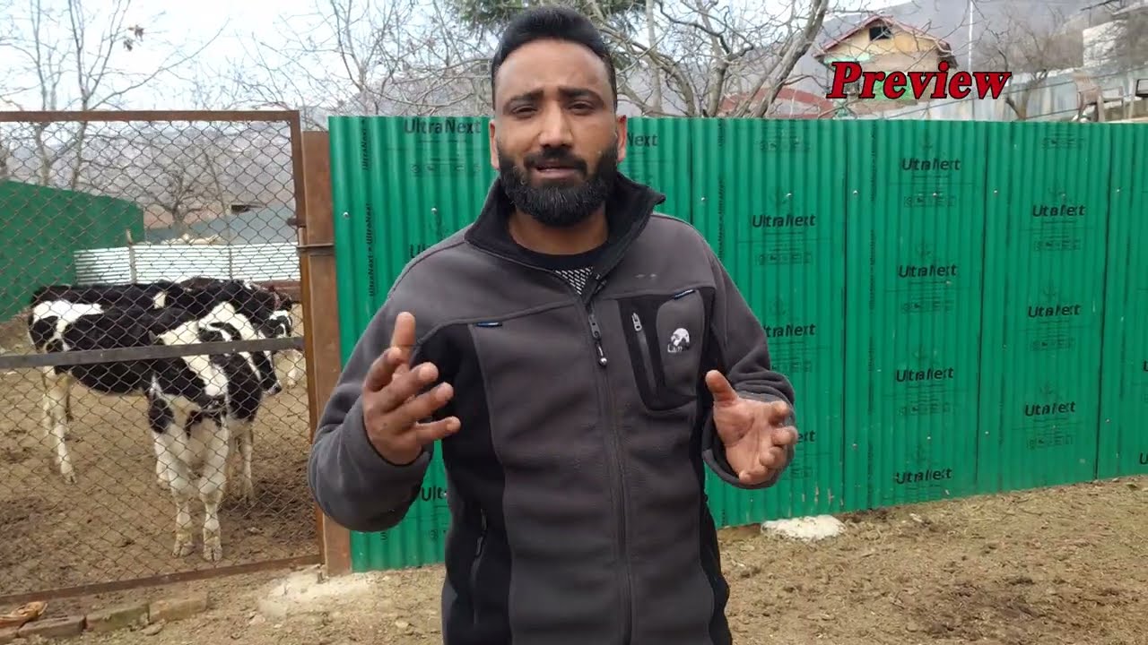 Progressive Breeder From Baba Dariya Din