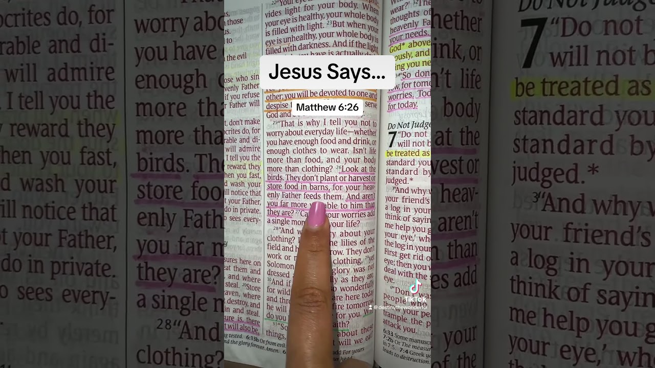 Matthew 6:26