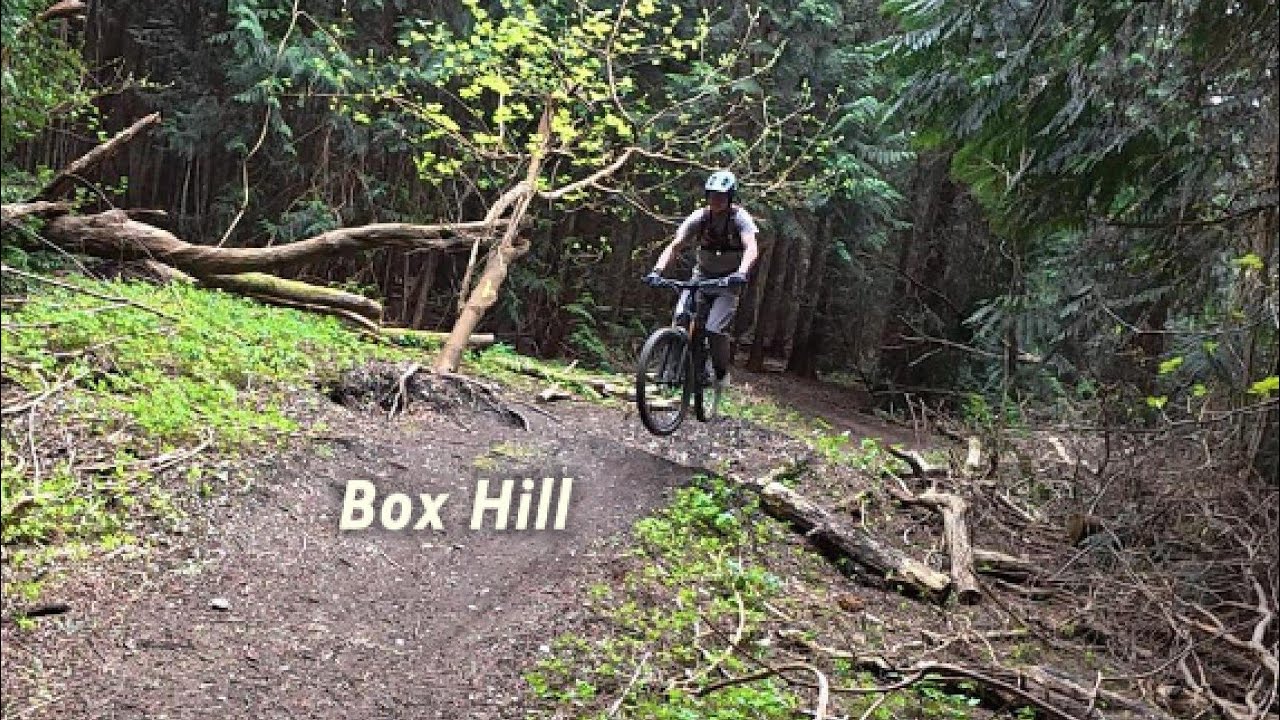 Box Hill