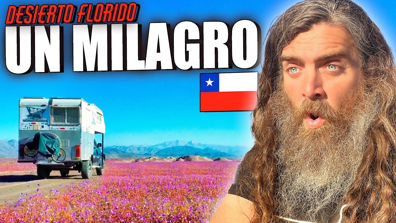 IMPOSIBLE: Flores en el Desierto más Árido del Mundo