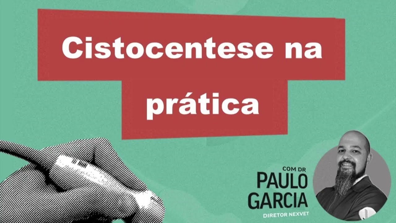 Como realizar uma cistocentese de maneira correta e segura