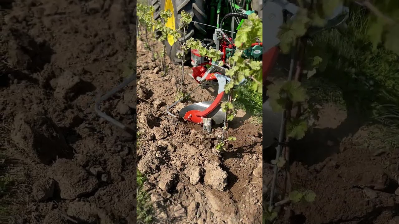 ALL NEW Clemens Radius D Undervine Vineyard Weeder - Mechanical Weed Control