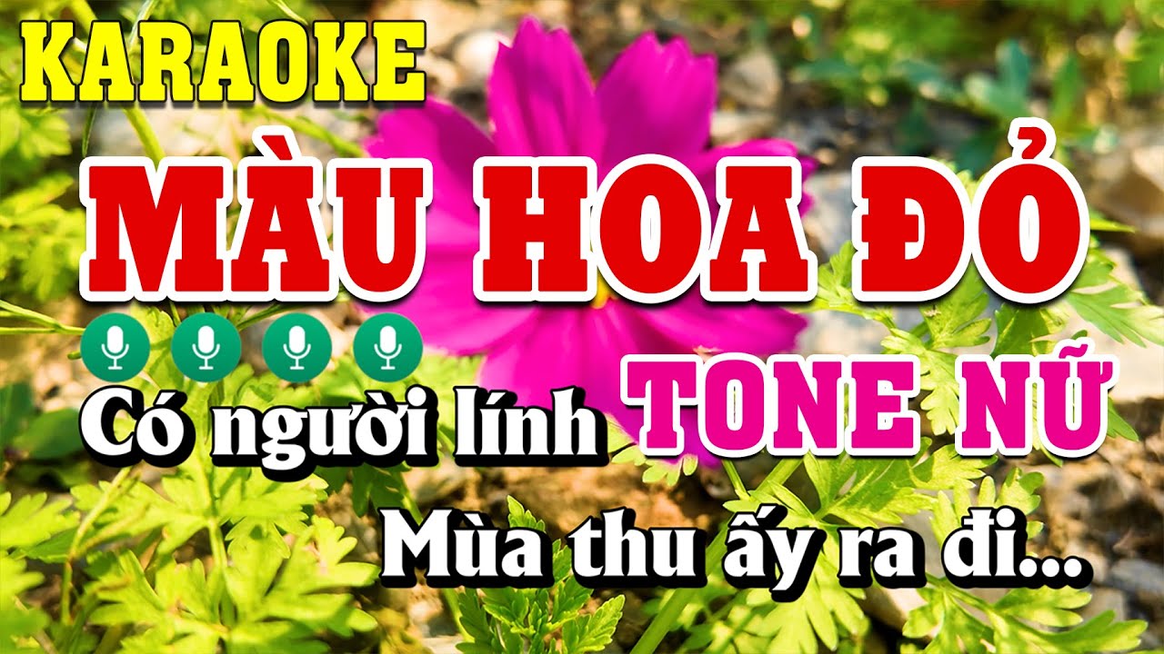 Màu Hoa Đỏ Karaoke Tone Nữ ( Dm ) Beat Chuẩn | Linh Linh Karaoke