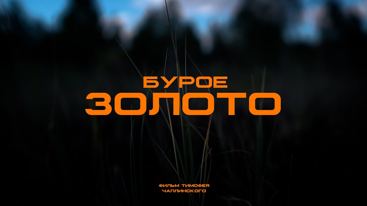 БУРОЕ ЗОЛОТО | ФИЛЬМ О ДОБЫЧЕ ТОРФА В БЕЛАРУСИ
