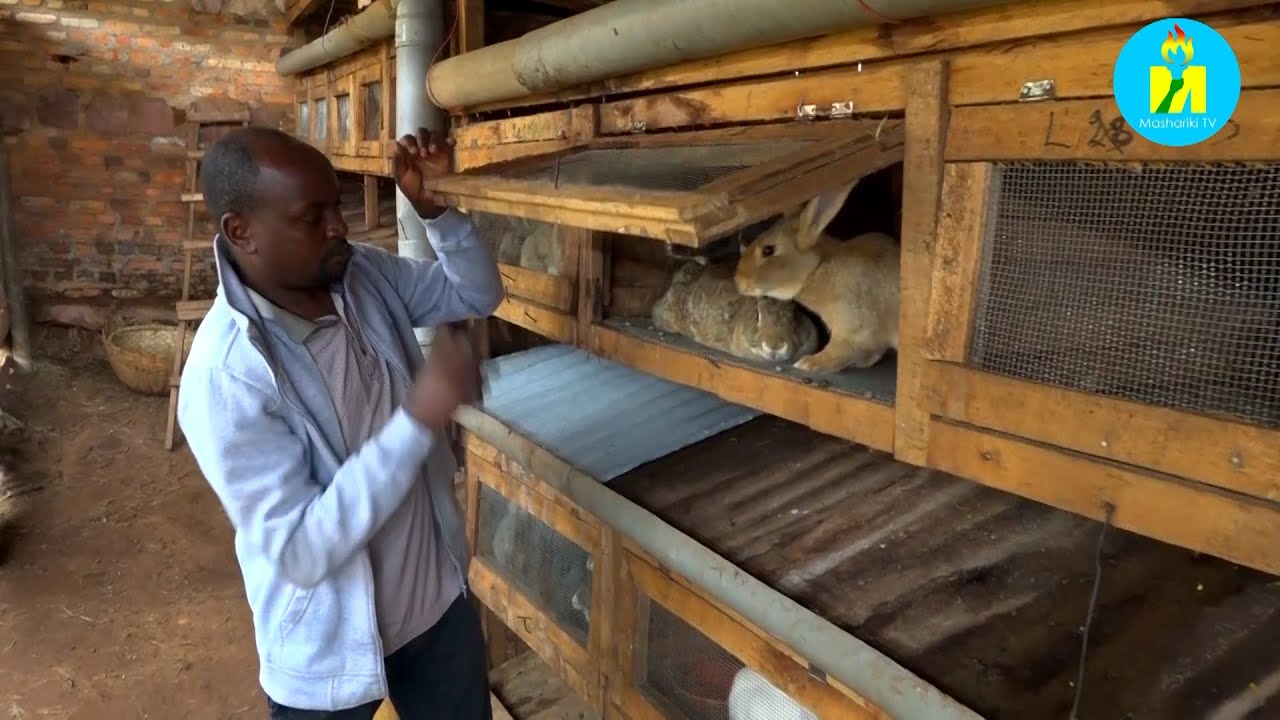 Yahora agurisha inkwavu 20 ku kwezi ariko kubera umutahe yahawe na PAEEJ ubu agurisha 60 ku kwezi