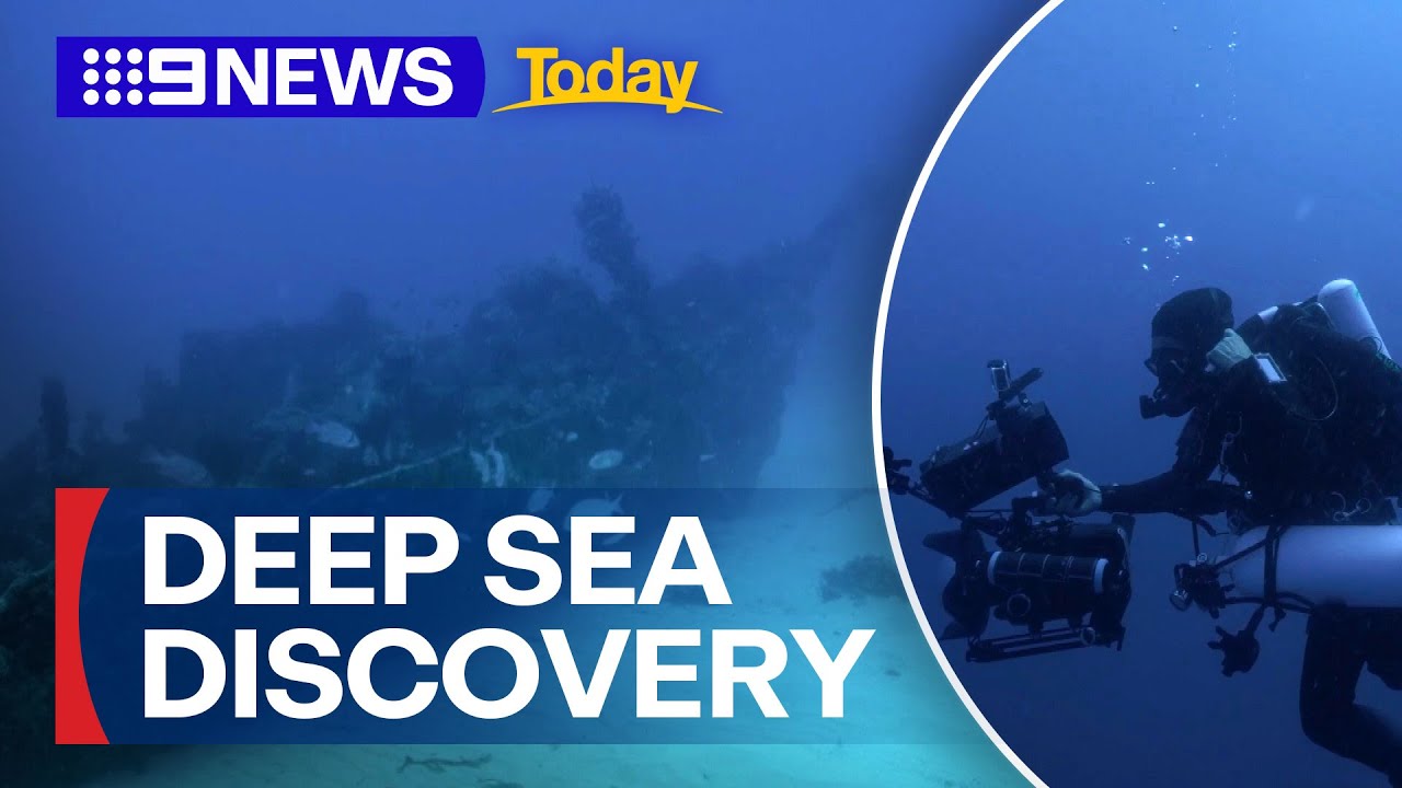 Explorers uncover two shipwrecks off WA coast | 9 News Australia