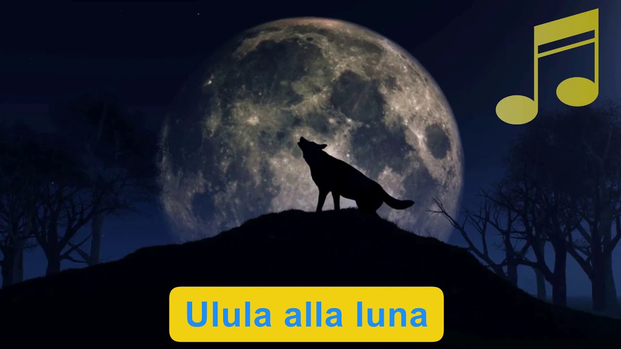 Ulula alla luna - Canto Scout - Lupetti