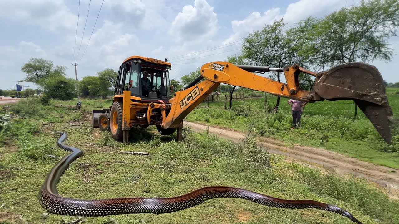 New Jcb Backhoe Working For Cleaning Gutter | Jcb Video | Jcb Mud Stuck | New Jcb Video