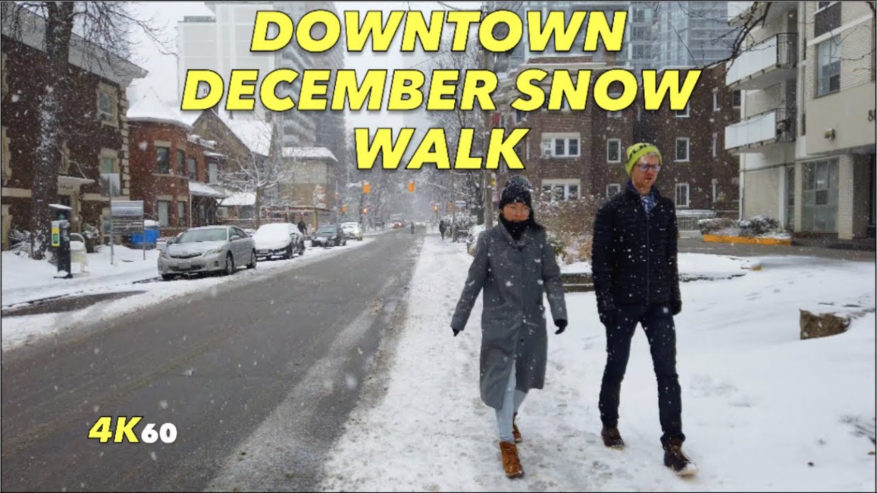 Downtown Toronto SNOW EVENT Walk - From The Rosedale Valley To Bloor St & South Into The Gay Village
