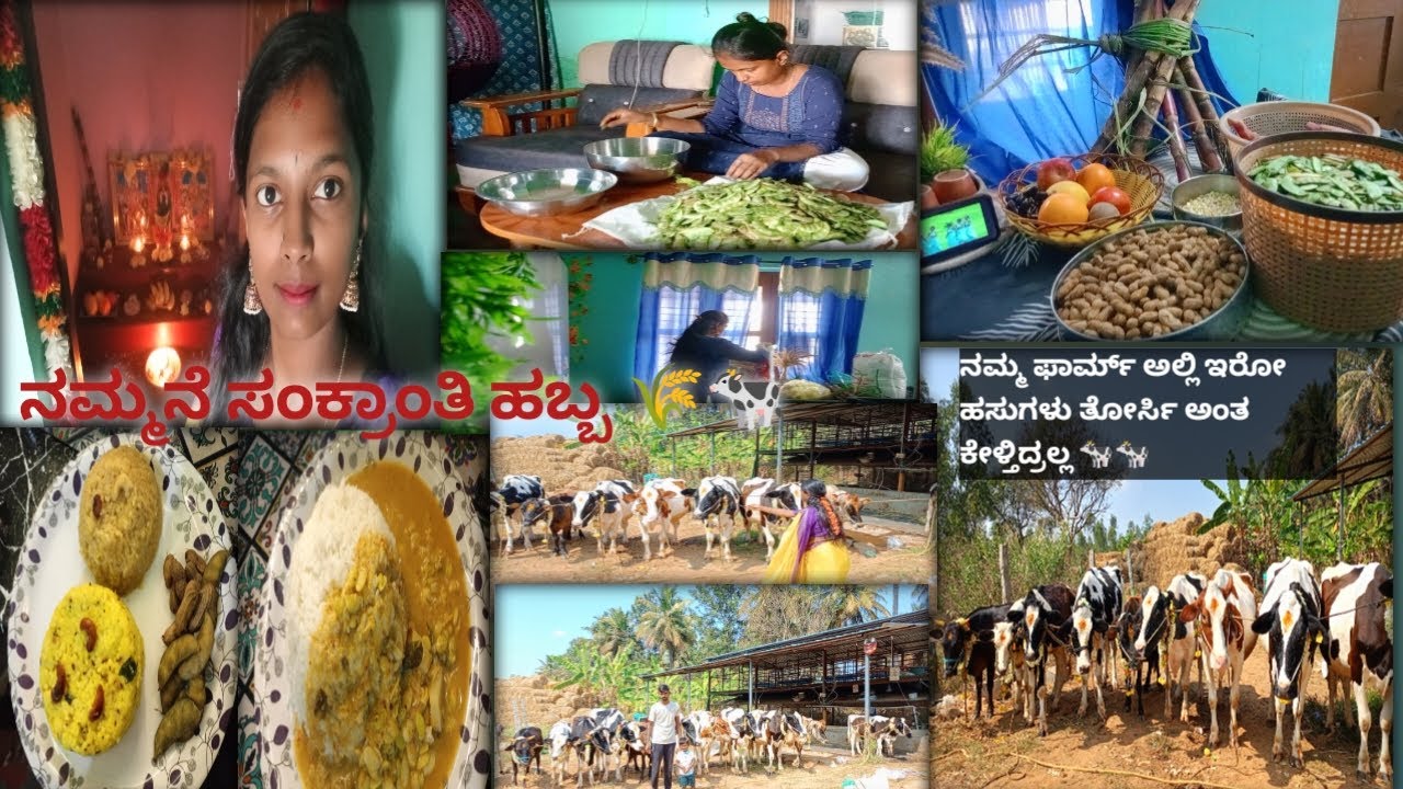 ನಮ್ಮನೆ ಸಂಕ್ರಾಂತಿ ಹಬ್ಬ 🌾🐄/anugowdakannadavlogs