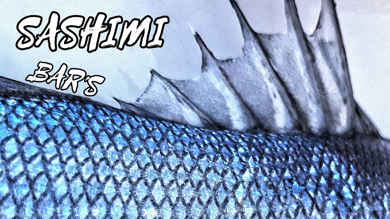 Comparaison entre Bar moucheté et Bar commun - sashimi et frit - Pas si différent que ça !