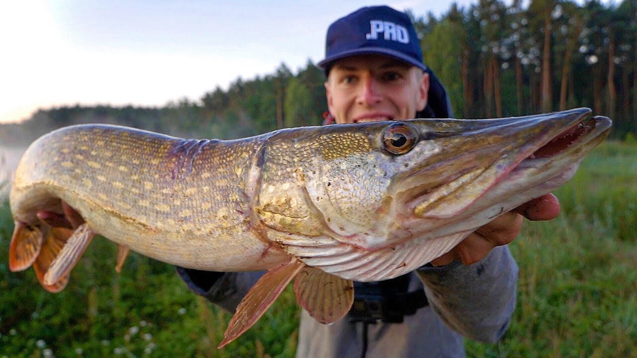 HOW TO CATCH A METER-LONG PIKE [CASTING]