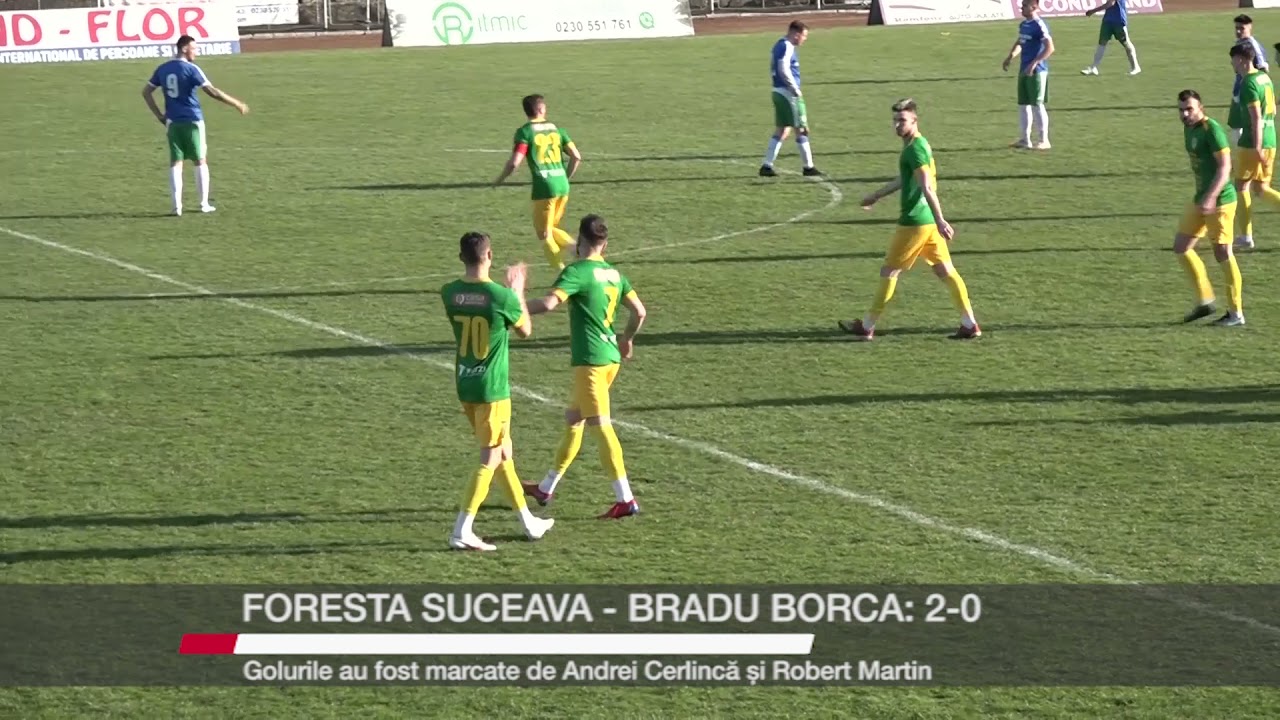 Sport   Foresta Suceava   Bradu Borca 2 0