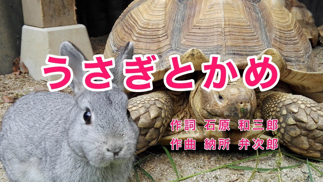 うさぎとかめ｜歌詞付き｜もしもしかめよ かめさんよ