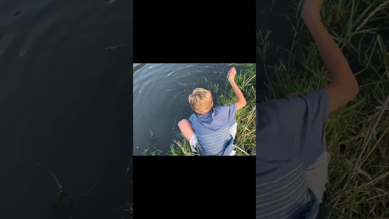 Fish on!!!!🐠massive fish, pulled my rod in water at contact 😂 #fish #fishing #fitness