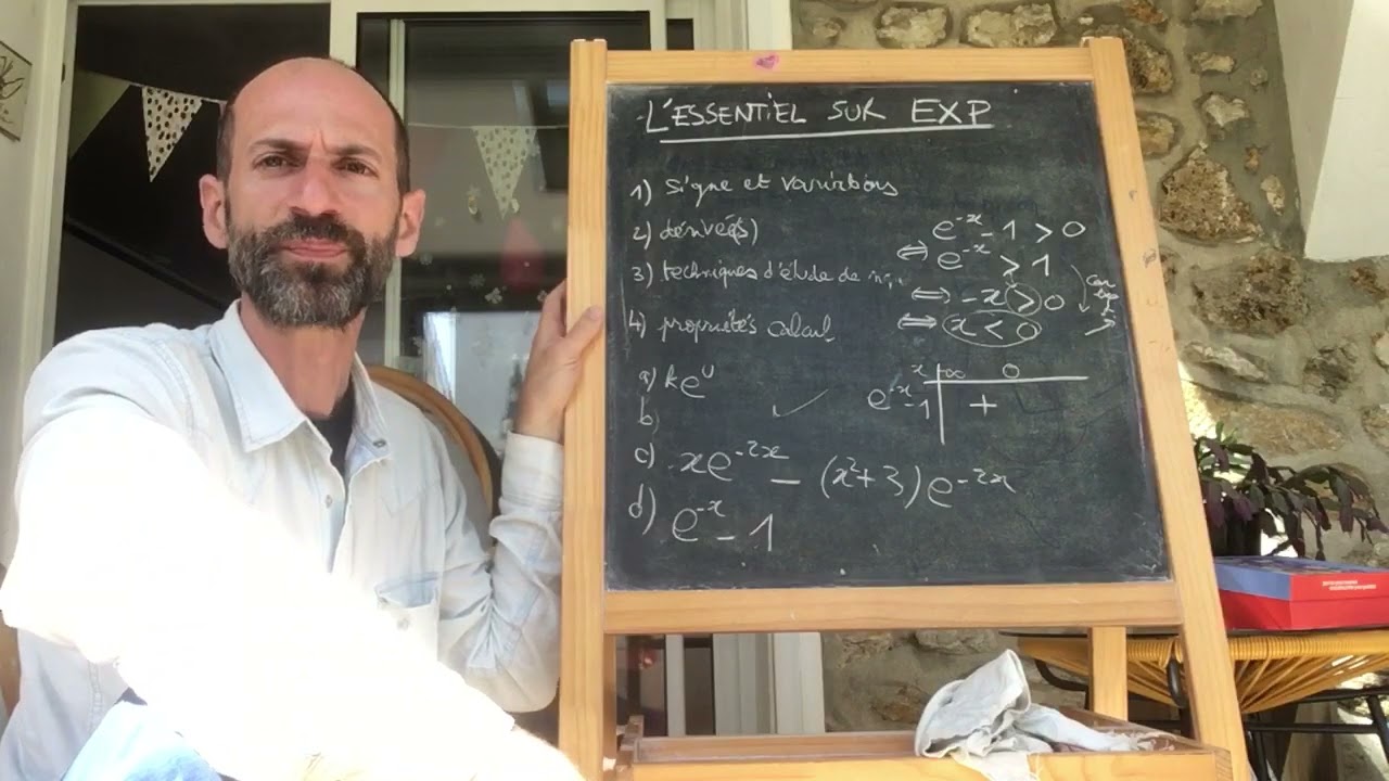 1ere Spé - Tout pour réussir un exercice sur la fonction exponentielle