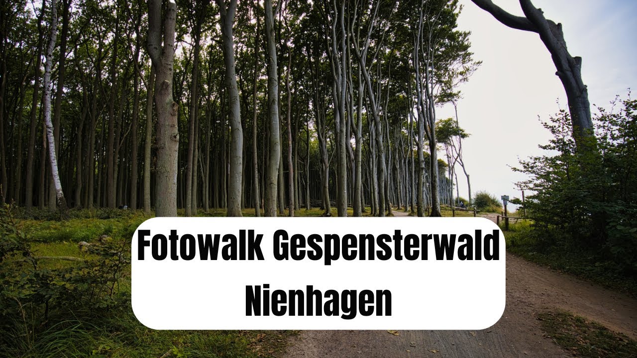 Fotowalk Gespensterwald Nienhagen
