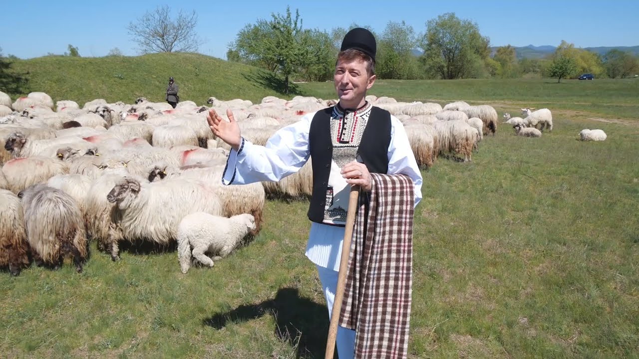 @DoinelHandoreanOficial  - Mi-or pus prietenii un gând