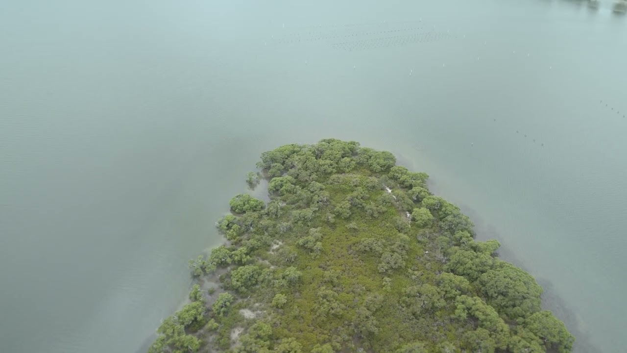 20 Minute Mangrove Island Drone Flight | 432 Hz Relaxation Music | 4K Aerial Coastal Views