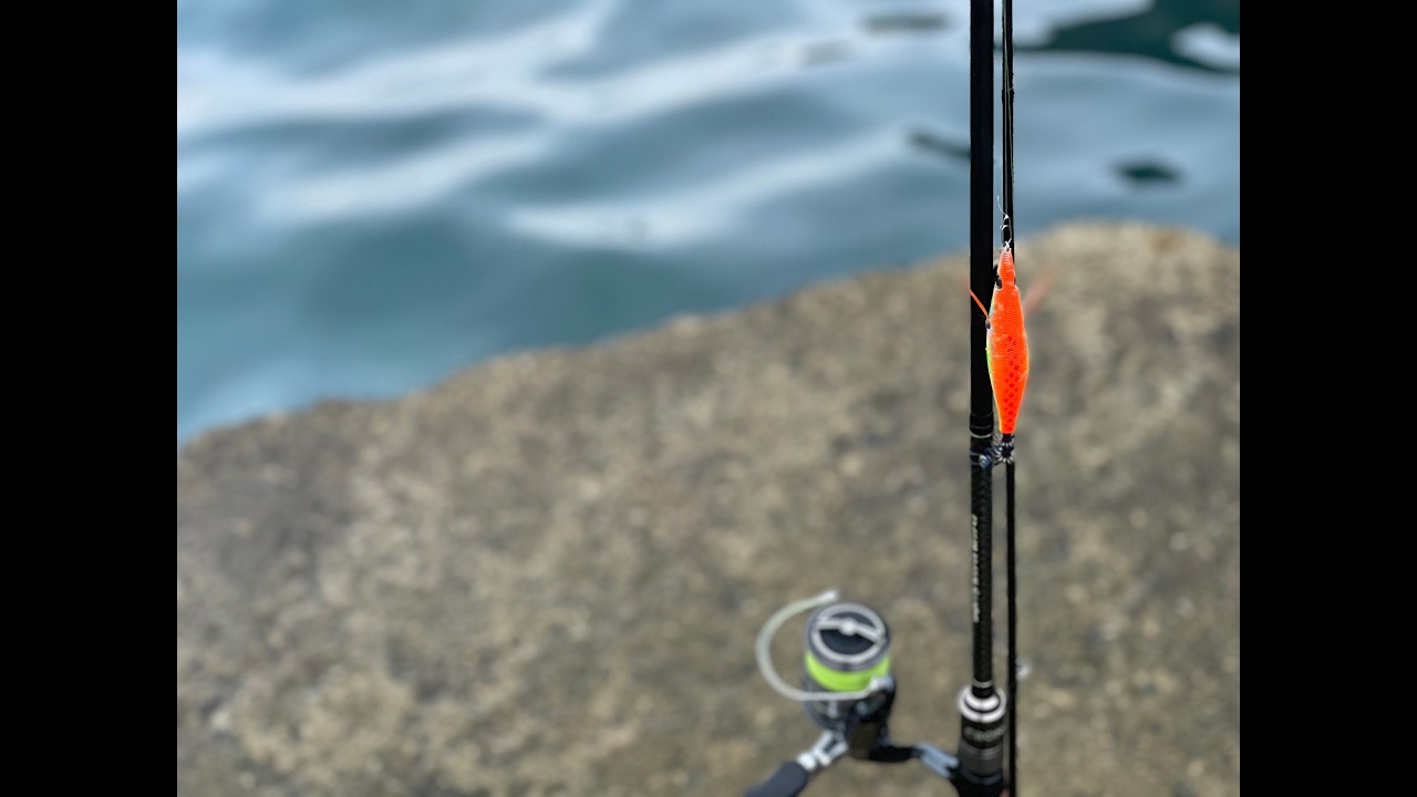 旬を狙う！秋の海釣りをのんびり堪能するシネマティックムービー #4k