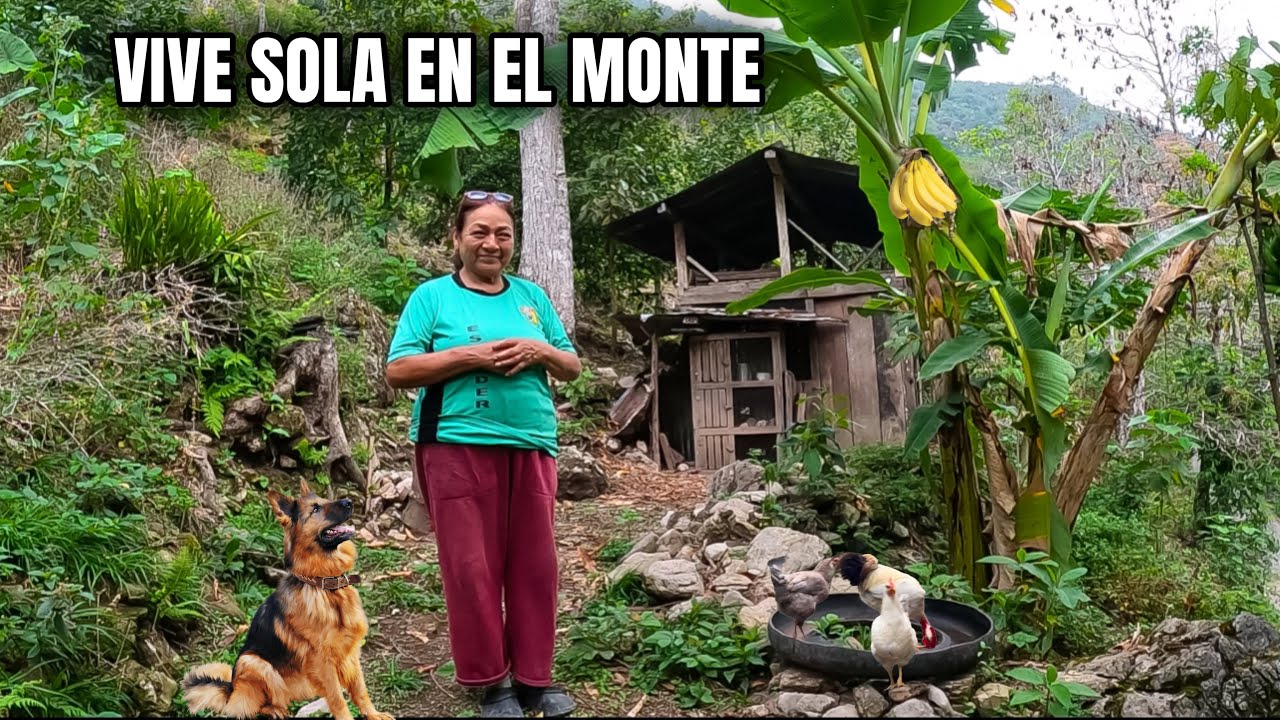 FAMILIA VIVE criando sus GALLINAS en un SOLITARIO y FASCINANTE lugar de la SELVA