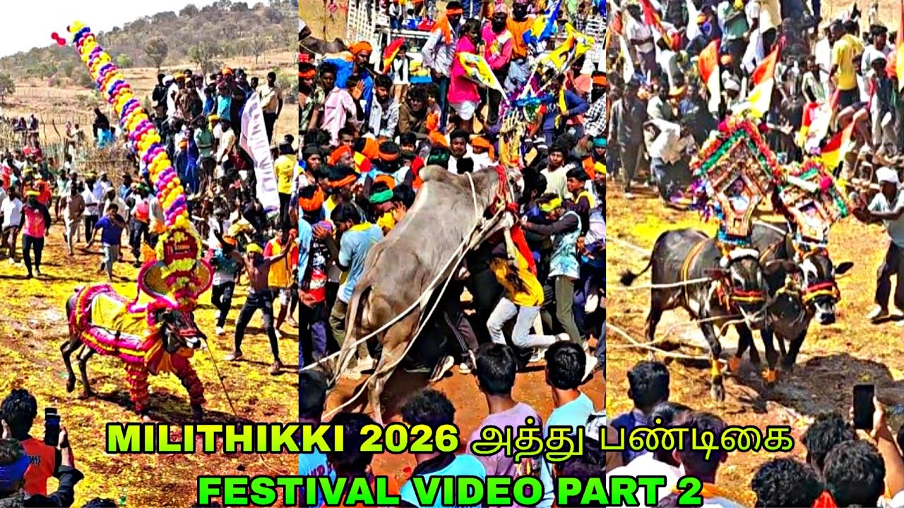 MILITHIKKI 2026 அத்து பண்டிகை FESTIVAL VIDEO PART 2@bulletrani8271 