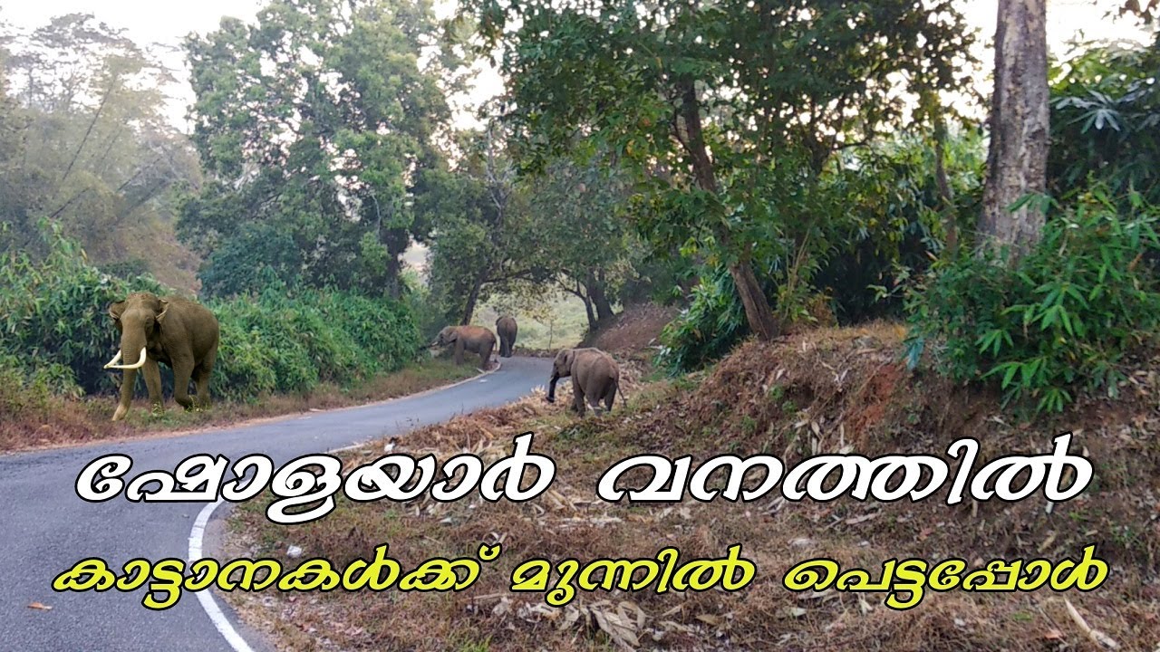 Poringalkuthu Dam Stay | Poringalkuthu Inspection Bungalow