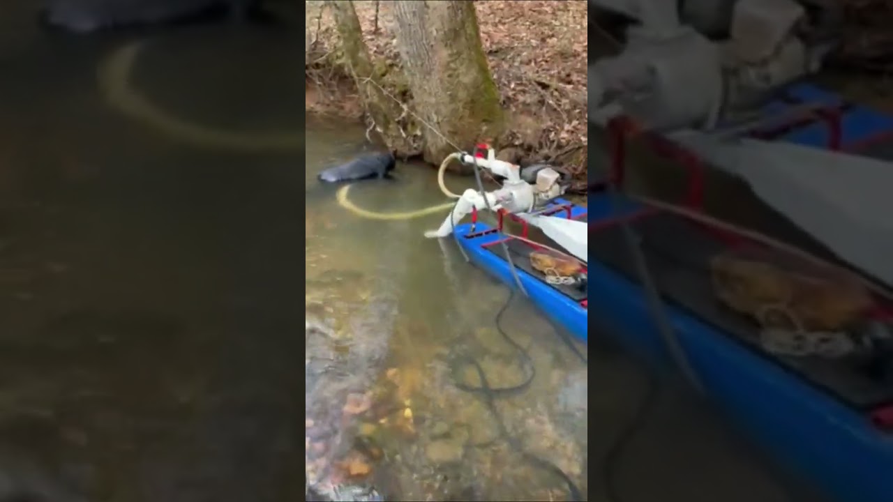 up the creek in March looking for gold