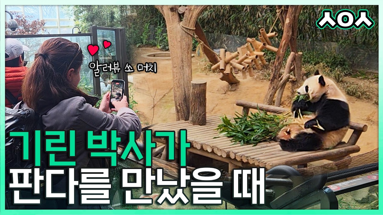 아이바오에게 홀딱 반한 미국 수의사?!👩‍⚕️ 세계적인 수의사와 함께하는 기린 케어의 모든 것🩺 │ Everland Vet Vlog