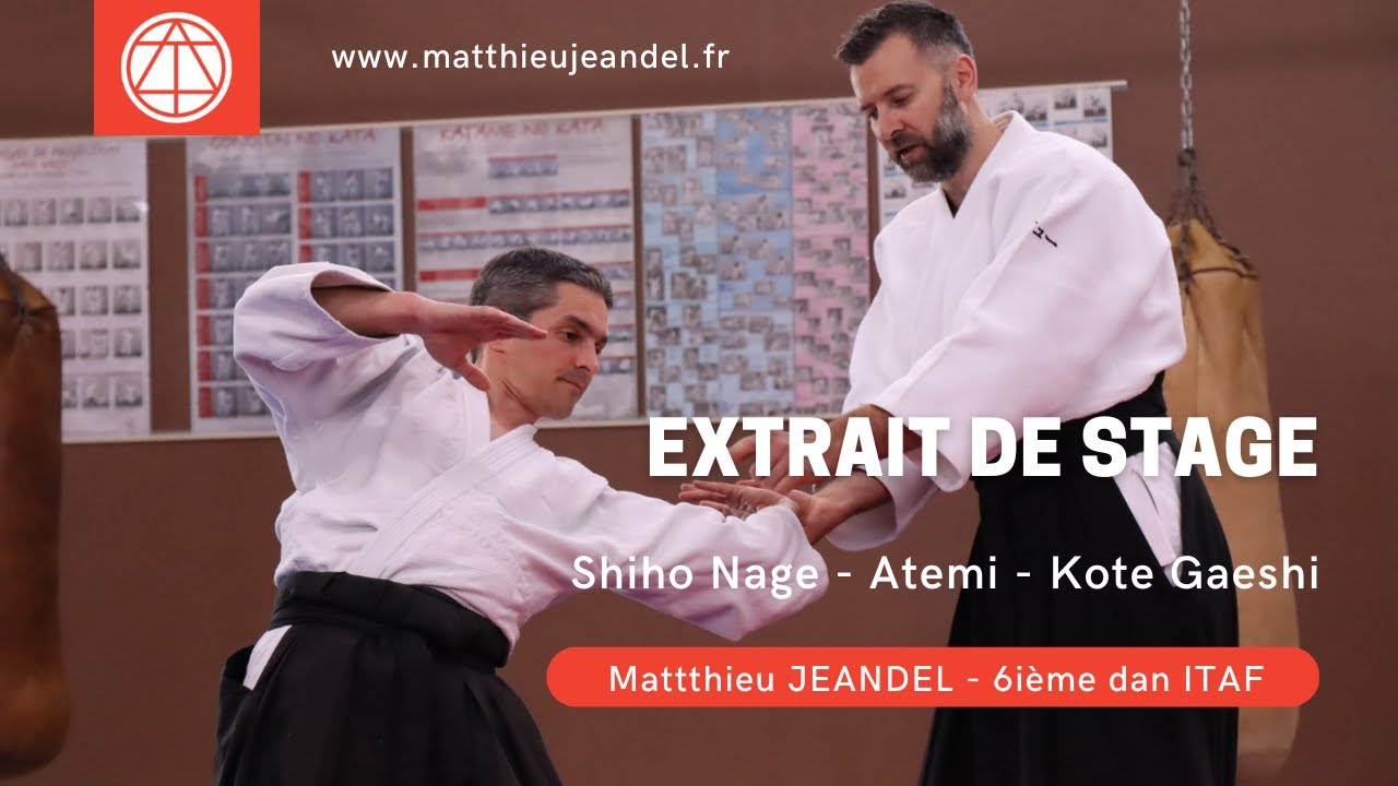 Shiho Nage - pédagogie VS Atemi - Lien avec Kote Gaeshi - Matthieu Jeandel - 6ième dan ITAF