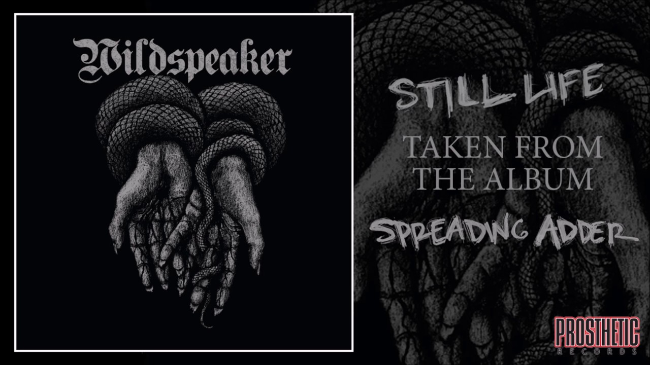 WILDSPEAKER - STILL LIFE