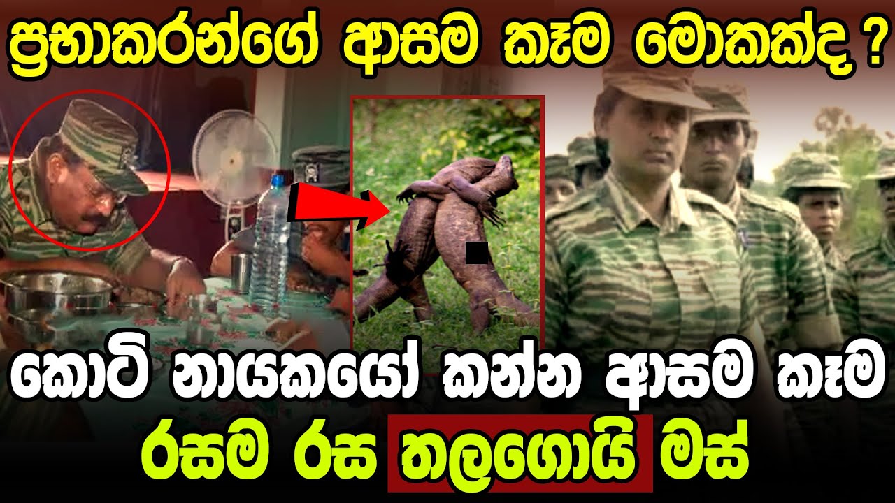 කොටි නායකයන් කාපු කෑම|Sri Lanka Army Special Forces|History of Prabhakaran|Velupillai Prabhakaran