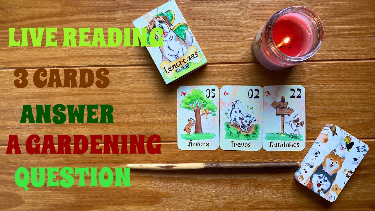 A Live 3-Card Lenormand Reading Answers A Gardening Question!