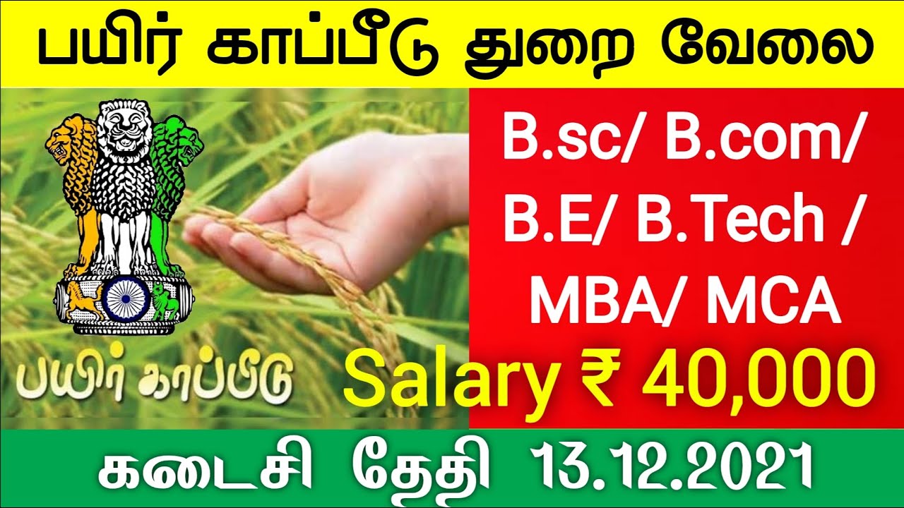 NEW MT Clerk Jobs Government Jobs 2021 Tamil Nadu TN Govt jobs Velaivaippu IBPS AIC JOb alert tamila