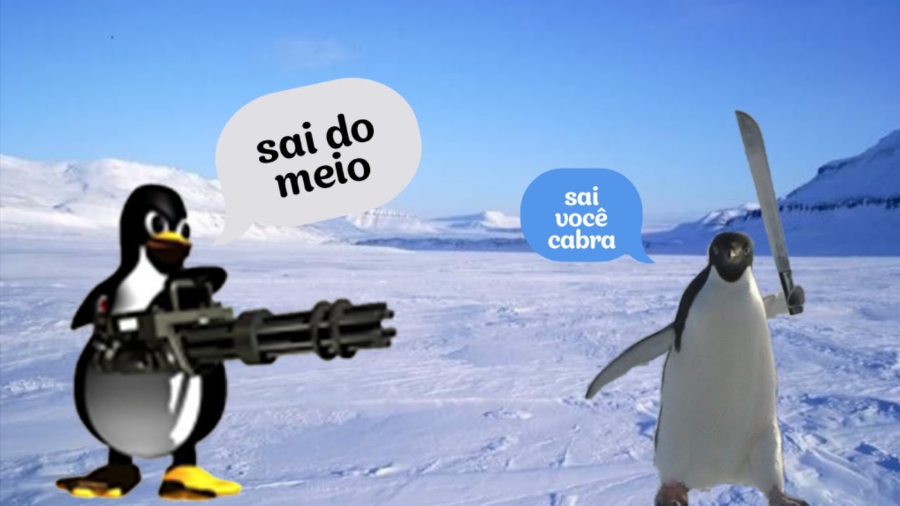 BATALHA DOS PINGUINS 🐧😡 