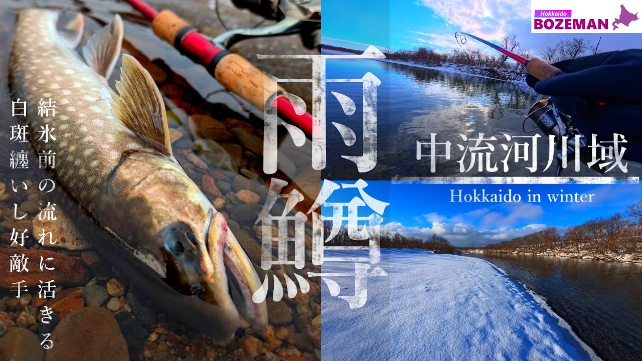 【北海道 アメマス】結氷前の中流河川域──白斑纏いし好敵手に時を預ける【北海道 釣り】