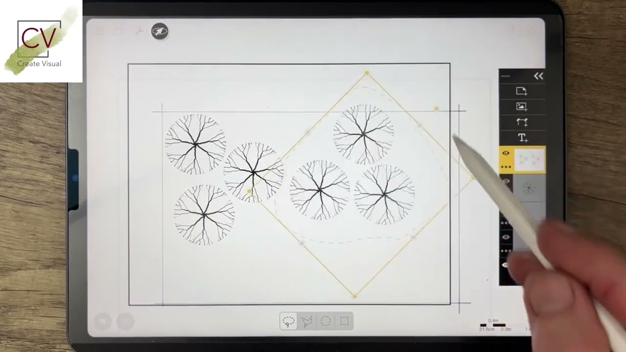 Morpholio Trace: Creating Plant Symbols