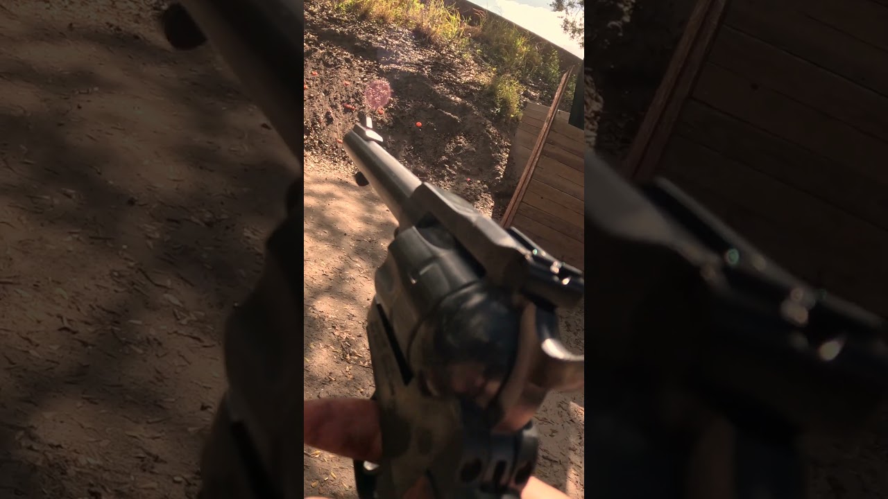 POV Action of the RUGER .22 