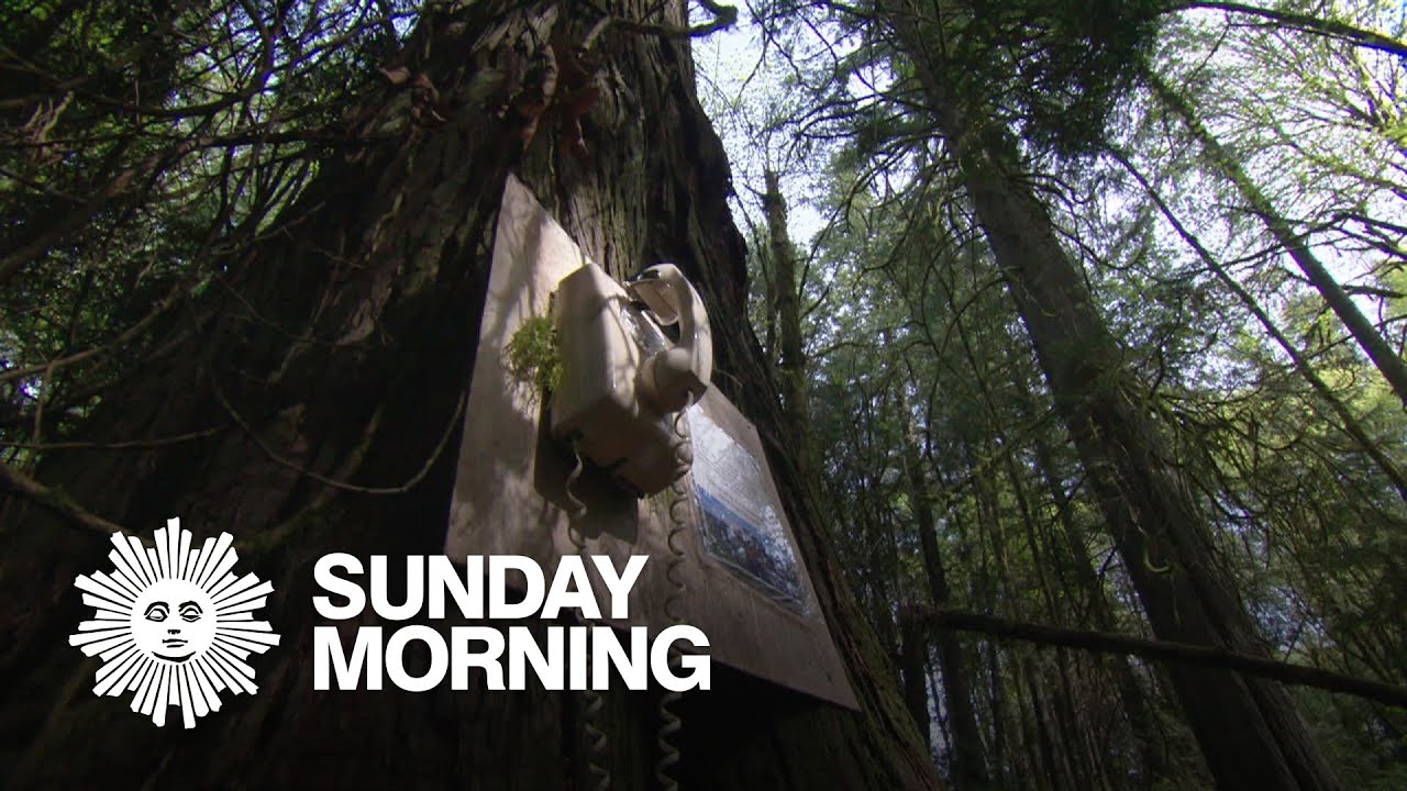 Telephones of the Wind: Making calls to lost loved ones