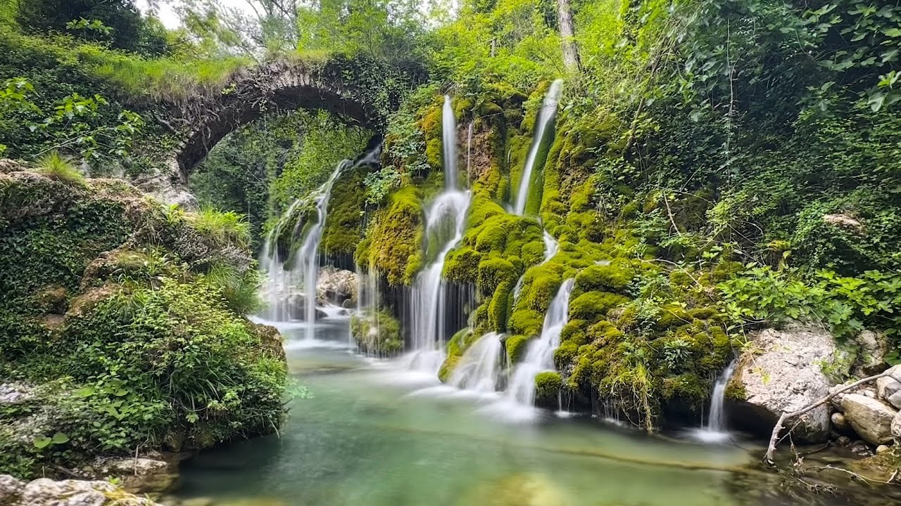 Escursione Capelli di Venere nel Cilento 11 05 2024 TheHoeBand