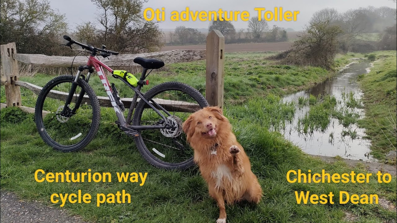Easter Sunday cycle ride along the centurion way, Chichester to West Dean and back with Oti Toller.