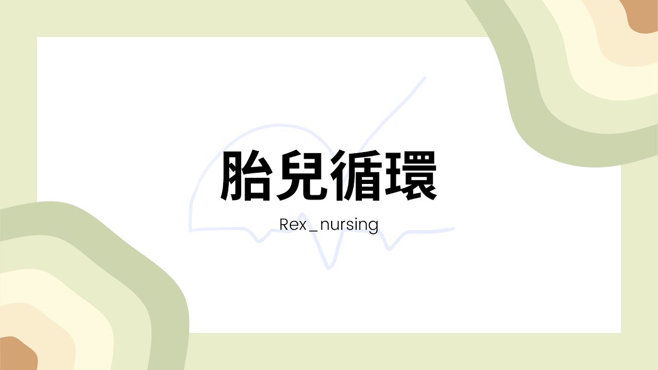 Rex Nursing l 護理日記 #21 血管系統-解剖 胎兒循環