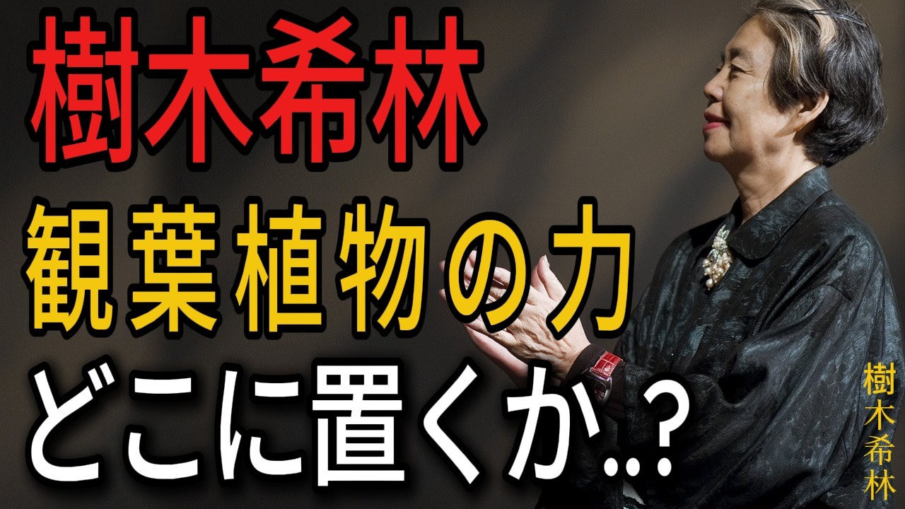 【樹木希林 名言】金運を育てる観葉植物。置き場所で人生が変わる。