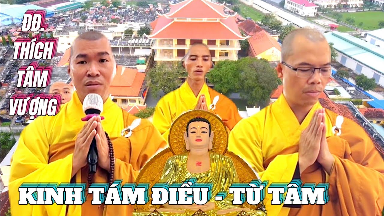 Thầy Tâm Vượng chùa Hoằng Pháp tụng Kinh Tám Điều - Từ Tâm cực hay #chuahoangphap