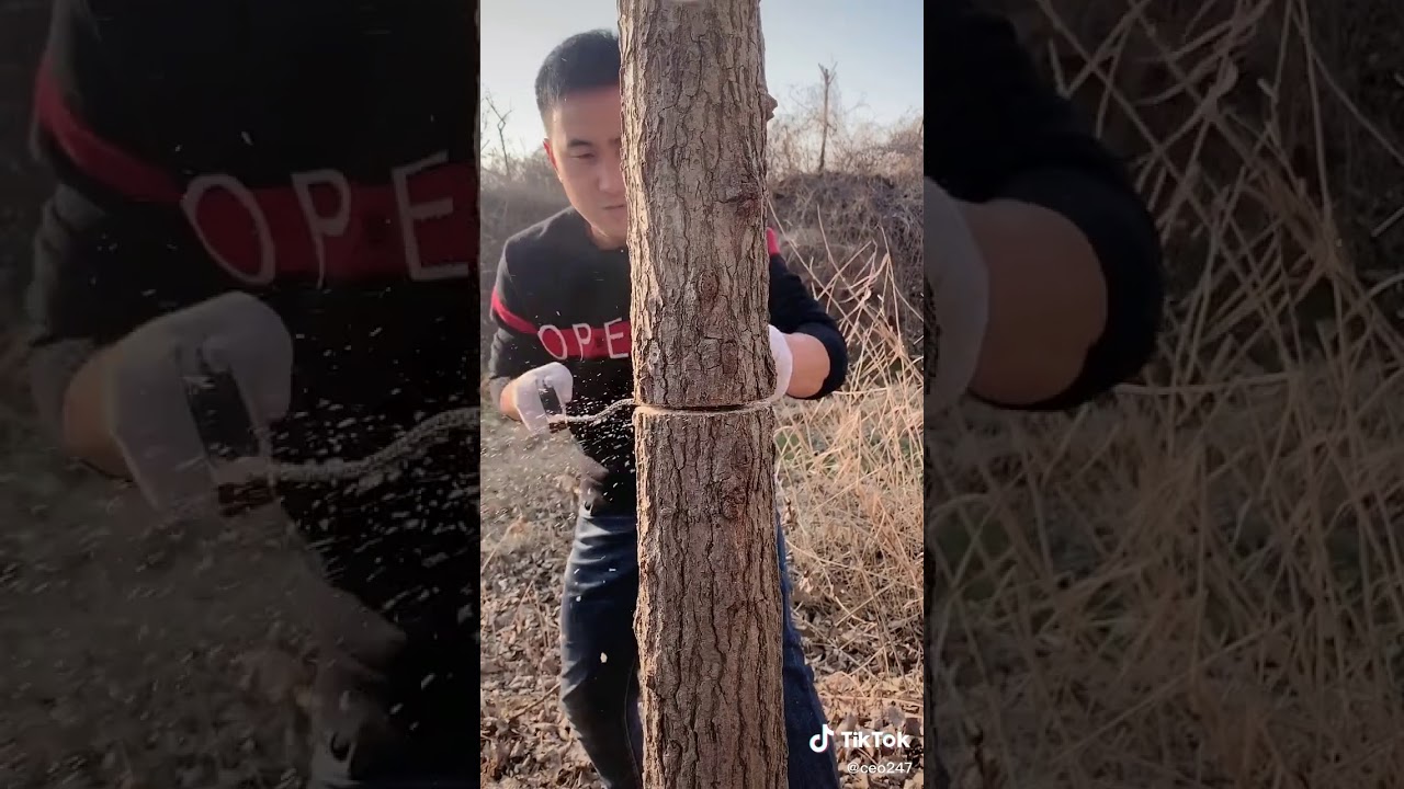 Taie lemn cu lanț de drujba