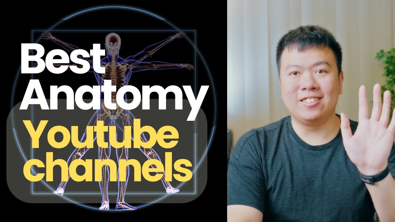 Best Anatomy Youtube Channels (For Medical Students)