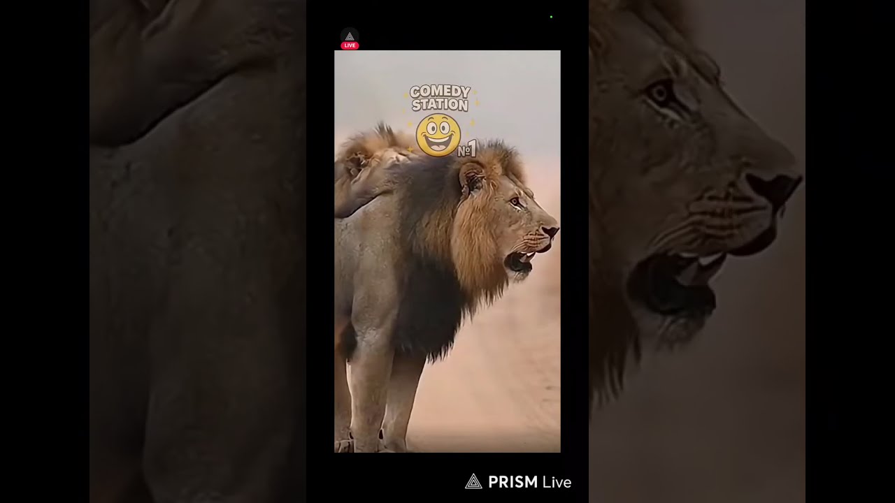 Прямая трансляция COMEDY-STATION-№1